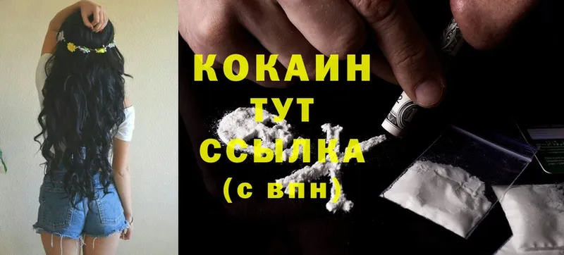 сколько стоит  Малмыж  Cocaine Fish Scale 